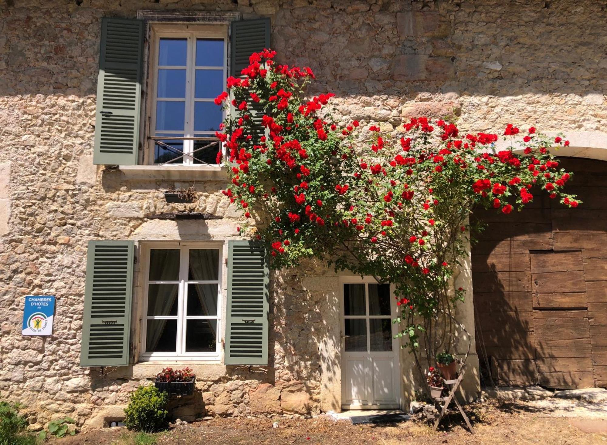 Domaine Du Tres-Haut - Chateau De Montanges Dış mekan fotoğraf