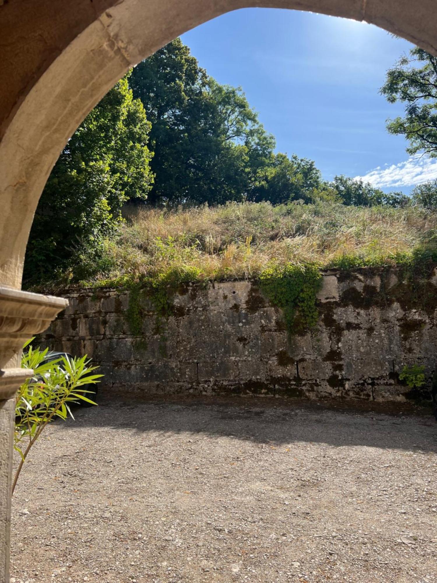 Domaine Du Tres-Haut - Chateau De Montanges Dış mekan fotoğraf